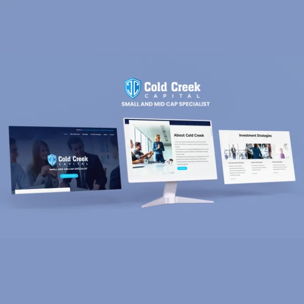 B2B Financial Advisory Website